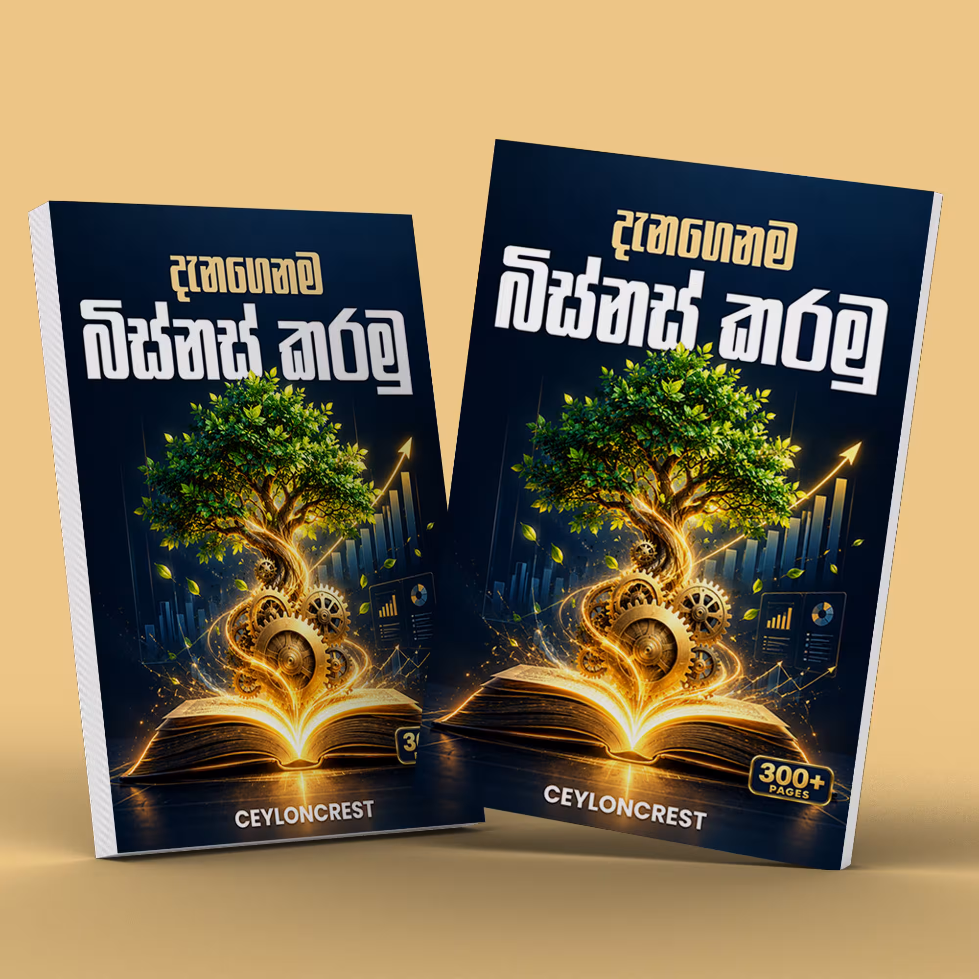 දැනගෙනම බිස්නස් කරමු